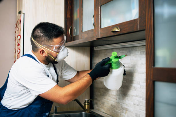 Professional Pest Control in Grants, NM