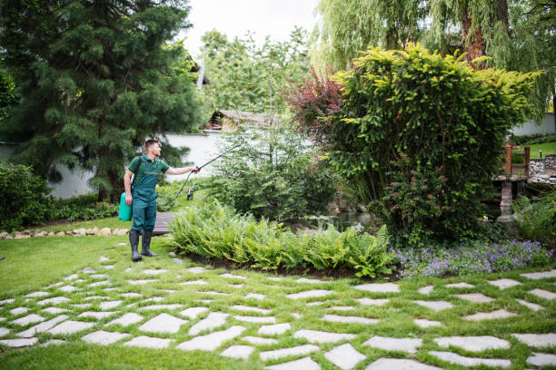 Best Mosquito Control Services  in Grants, NM