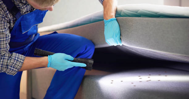Best Termite Control Services  in Grants, NM