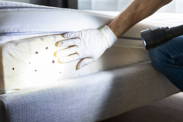 Best Pest Inspection Near Me  in Grants, NM
